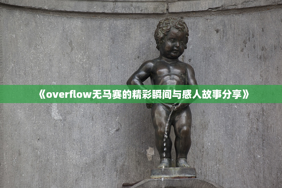 《overflow无马赛的精彩瞬间与感人故事分享》