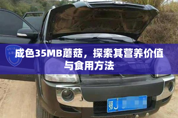 成色35MB蘑菇，探索其营养价值与食用方法