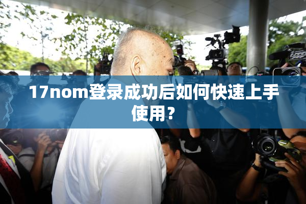 17nom登录成功后如何快速上手使用？