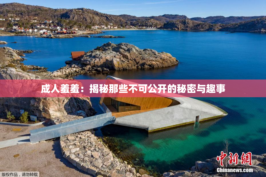 成人羞羞：揭秘那些不可公开的秘密与趣事
