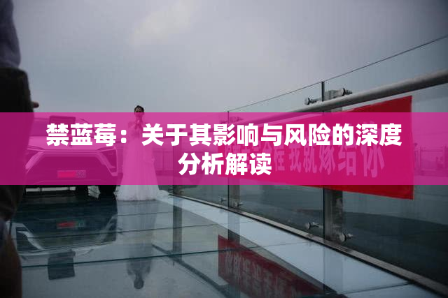 禁蓝莓：关于其影响与风险的深度分析解读