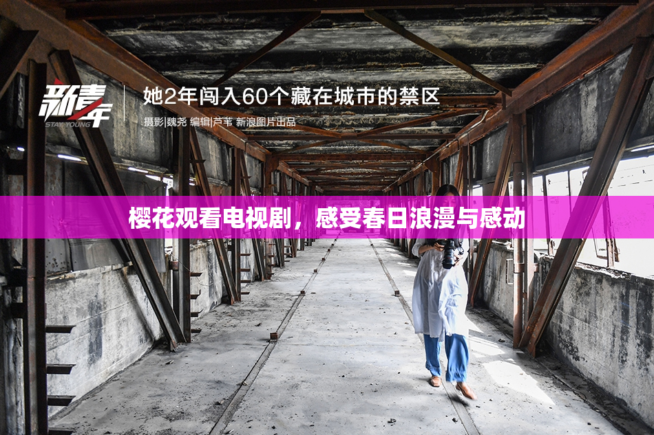 樱花观看电视剧，感受春日浪漫与感动