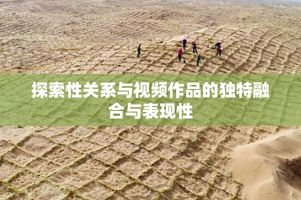 探索性关系与视频作品的独特融合与表现性
