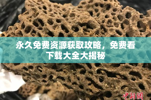 永久免费资源获取攻略，免费看下载大全大揭秘