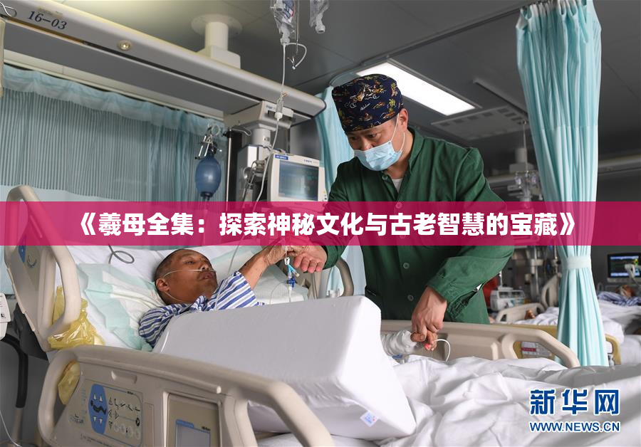 《羲母全集：探索神秘文化与古老智慧的宝藏》