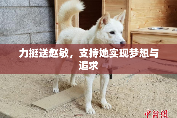 力挺送赵敏，支持她实现梦想与追求