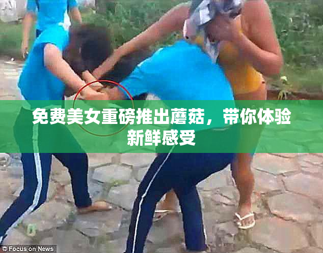 免费美女重磅推出蘑菇，带你体验新鲜感受