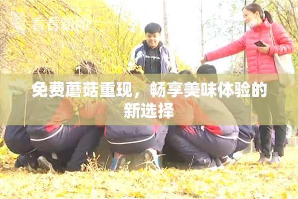 免费蘑菇重现，畅享美味体验的新选择