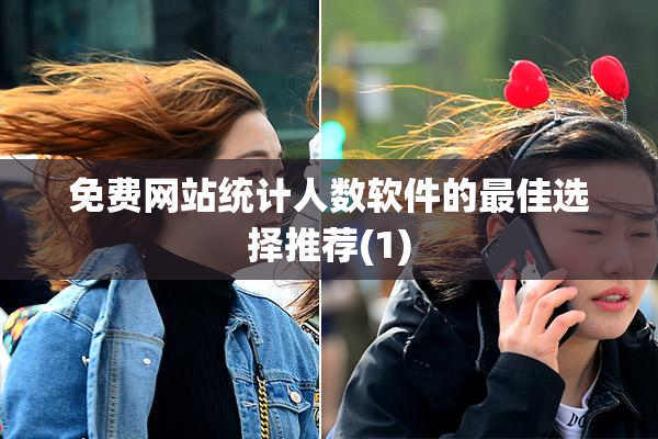 免费网站统计人数软件的最佳选择推荐(1)