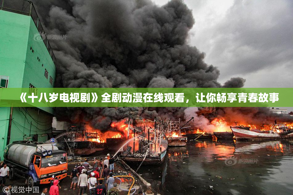 《十八岁电视剧》全剧动漫在线观看，让你畅享青春故事