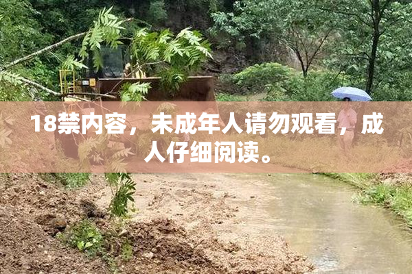 18禁内容，未成年人请勿观看，成人仔细阅读。
