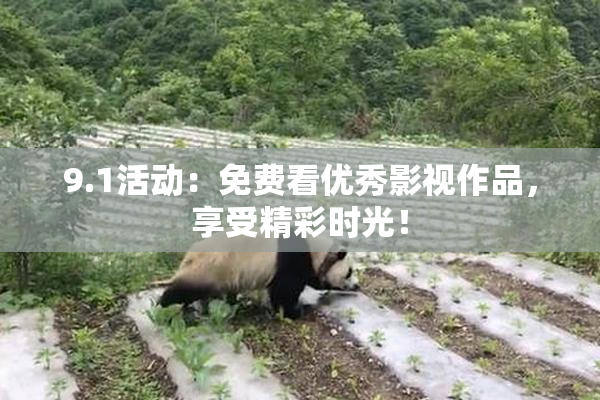 9.1活动：免费看优秀影视作品，享受精彩时光！