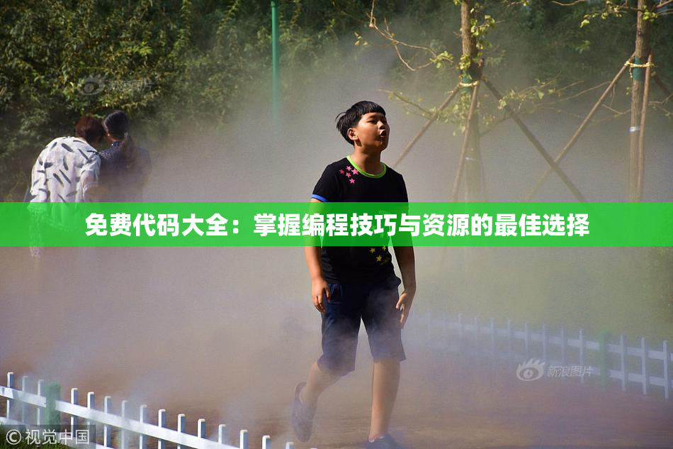 免费代码大全：掌握编程技巧与资源的最佳选择
