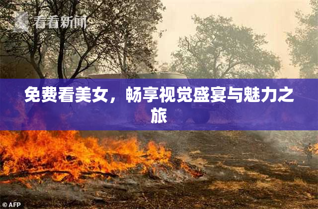 免费看美女，畅享视觉盛宴与魅力之旅