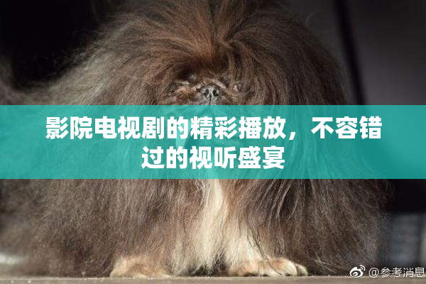 影院电视剧的精彩播放，不容错过的视听盛宴