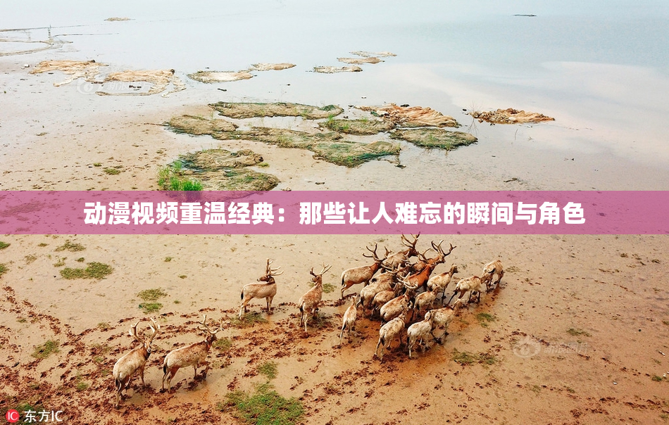 动漫视频重温经典：那些让人难忘的瞬间与角色
