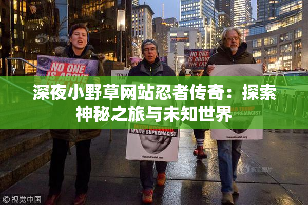 深夜小野草网站忍者传奇：探索神秘之旅与未知世界