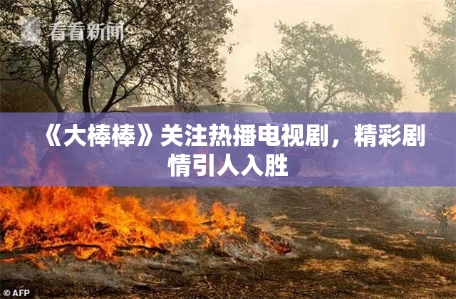 《大棒棒》关注热播电视剧，精彩剧情引人入胜