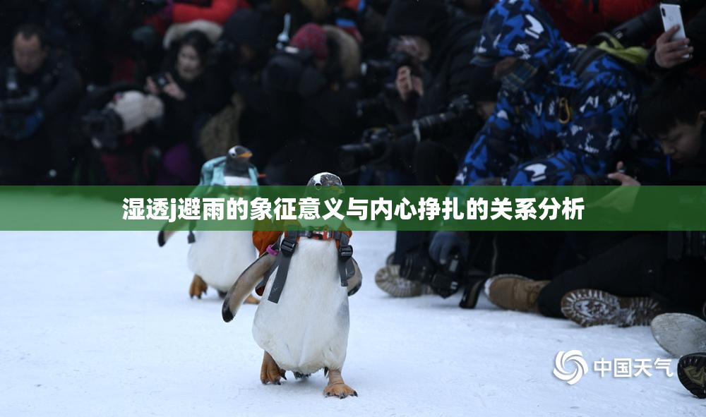 湿透j避雨的象征意义与内心挣扎的关系分析