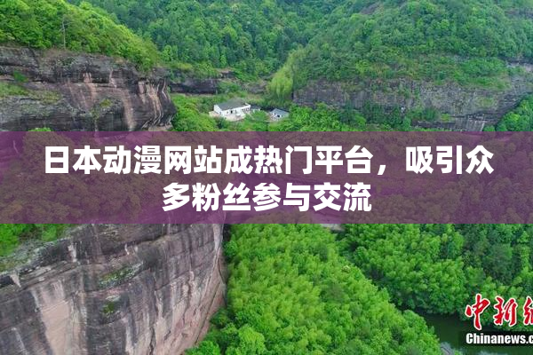 日本动漫网站成热门平台，吸引众多粉丝参与交流