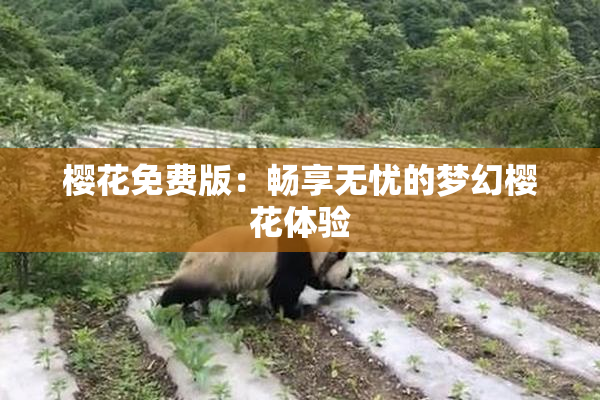 樱花免费版：畅享无忧的梦幻樱花体验
