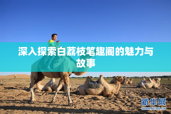 深入探索白荔枝笔趣阁的魅力与故事