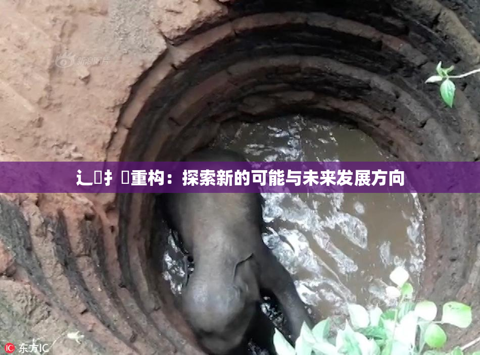 辶喿扌畐重构：探索新的可能与未来发展方向