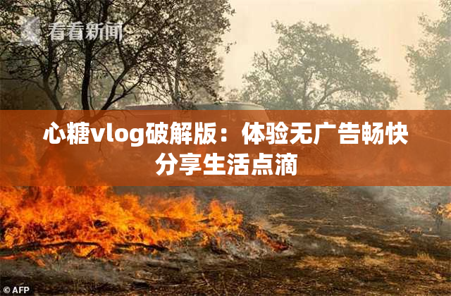 心糖vlog破解版：体验无广告畅快分享生活点滴
