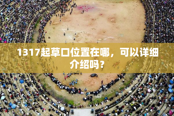 1317起草口位置在哪，可以详细介绍吗？