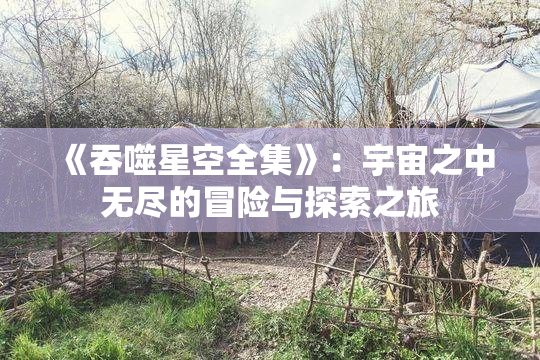 《吞噬星空全集》：宇宙之中无尽的冒险与探索之旅
