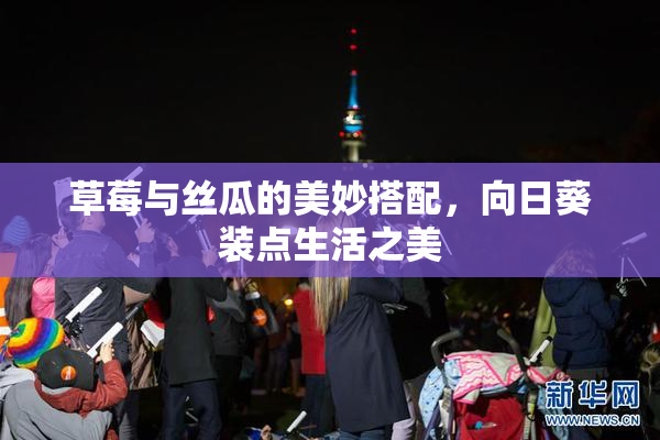 草莓与丝瓜的美妙搭配，向日葵装点生活之美