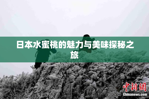 日本水蜜桃的魅力与美味探秘之旅