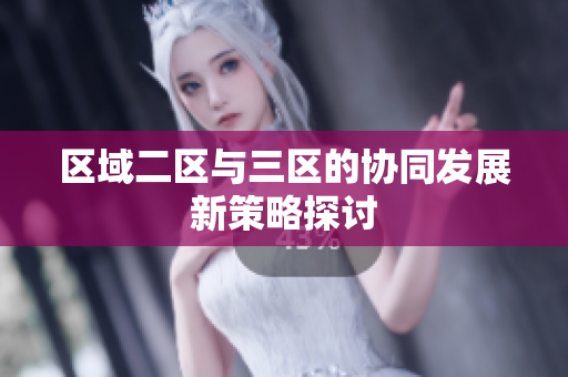 区域二区与三区的协同发展新策略探讨