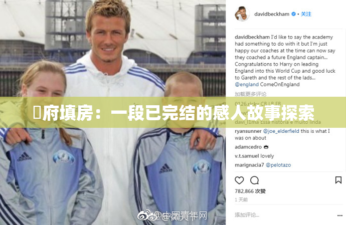 漼府填房：一段已完结的感人故事探索