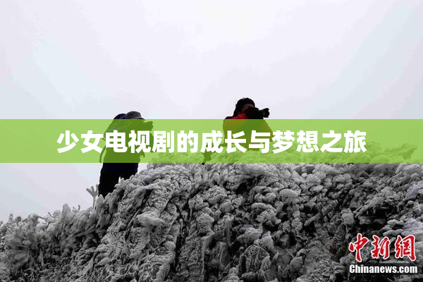 少女电视剧的成长与梦想之旅