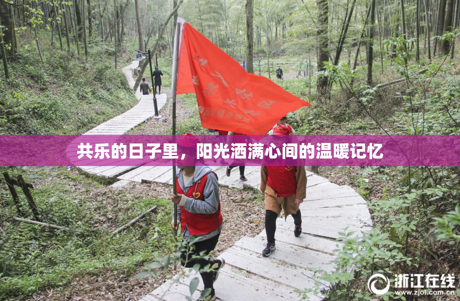 共乐的日子里，阳光洒满心间的温暖记忆