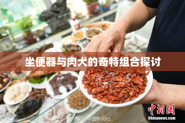 坐便器与肉犬的奇特组合探讨