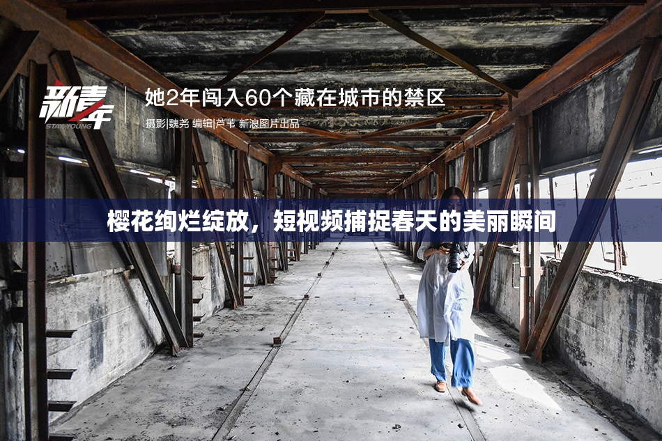 樱花绚烂绽放，短视频捕捉春天的美丽瞬间