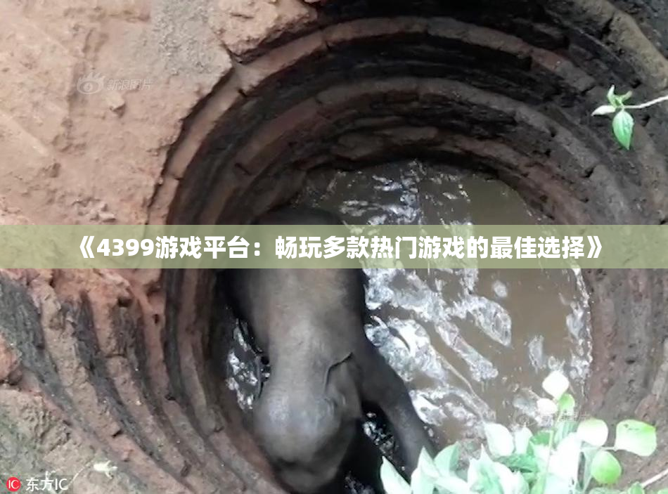 《4399游戏平台：畅玩多款热门游戏的最佳选择》