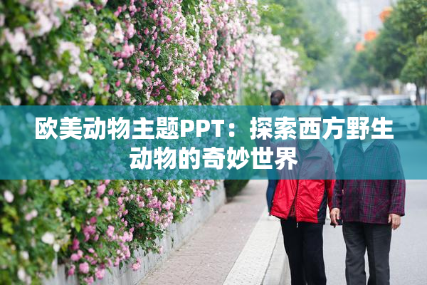 欧美动物主题PPT：探索西方野生动物的奇妙世界