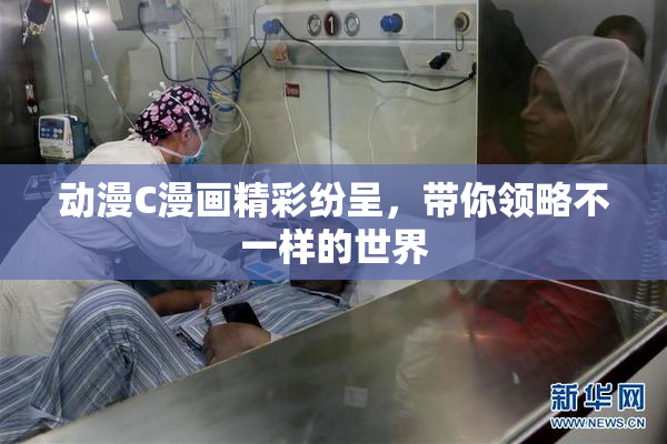 动漫C漫画精彩纷呈，带你领略不一样的世界