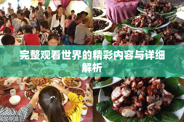 完整观看世界的精彩内容与详细解析
