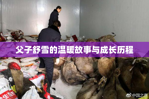 父子舒雪的温暖故事与成长历程