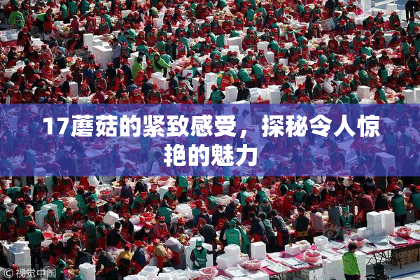 17蘑菇的紧致感受，探秘令人惊艳的魅力