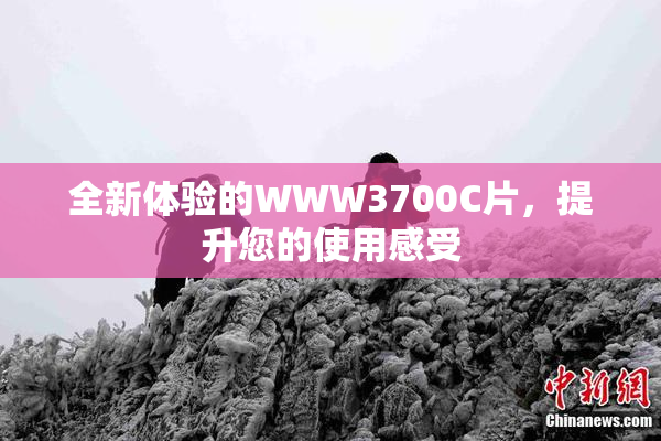 全新体验的WWW3700C片，提升您的使用感受
