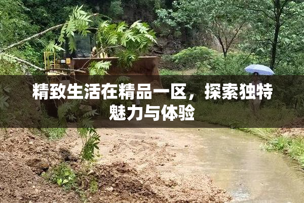 精致生活在精品一区，探索独特魅力与体验