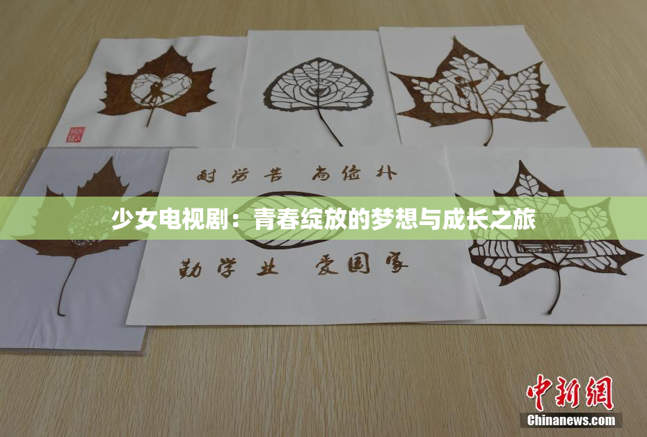 少女电视剧：青春绽放的梦想与成长之旅