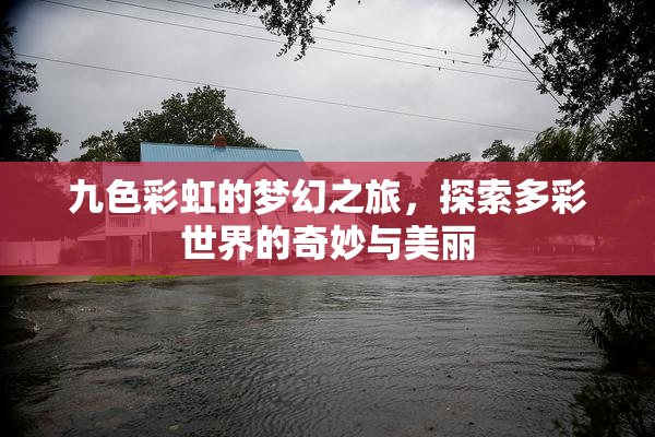 九色彩虹的梦幻之旅，探索多彩世界的奇妙与美丽