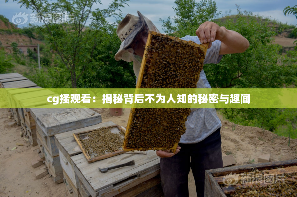cg搔观看：揭秘背后不为人知的秘密与趣闻