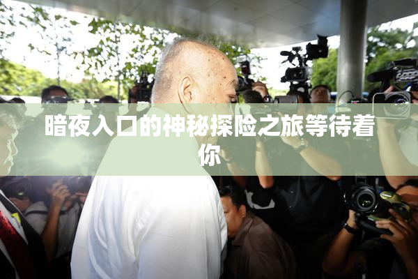 暗夜入口的神秘探险之旅等待着你